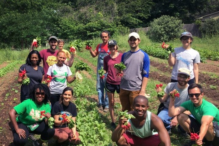 Doghead Farm Volunteer Social