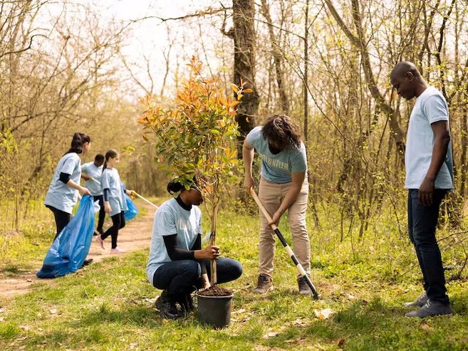 Tiger Club members planting a tree together